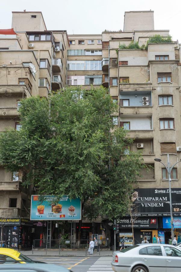 Petite Maison Sur Le Boulevard Bukurešť Exteriér fotografie
